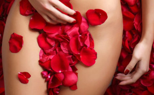 Roses via Shutterstock
